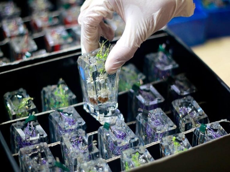 do-keo-epoxy-gioi-thieu