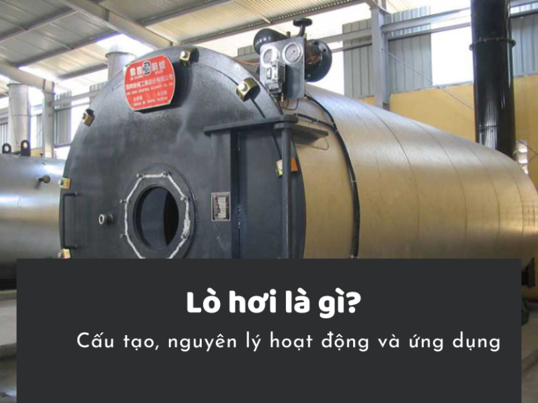 lo-hoi-la-gi-cau0tao0lo0hoi